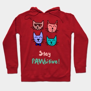 Stay Pawsitive! Hoodie